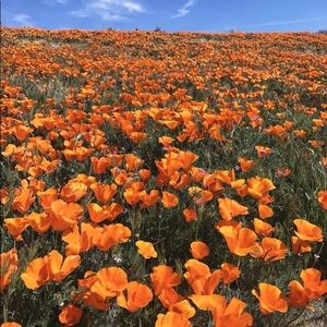 Meet your Posher, Madeline